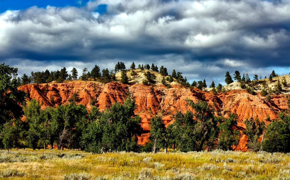 Meadow pastoral landscape photo