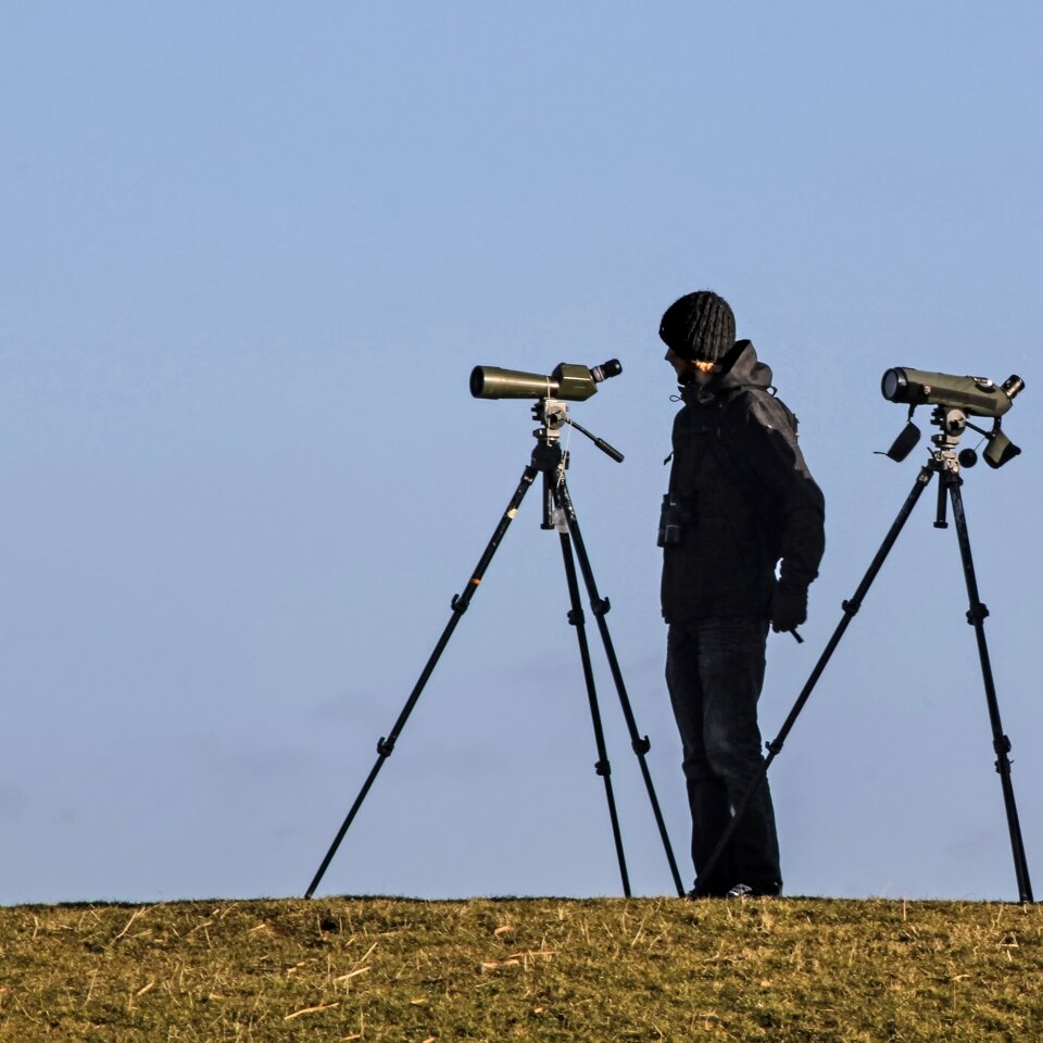 Ornithologist bird watching nature