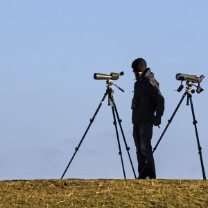 Ornithologist bird watching nature