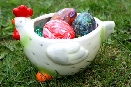 Easter eggs chicken chickens