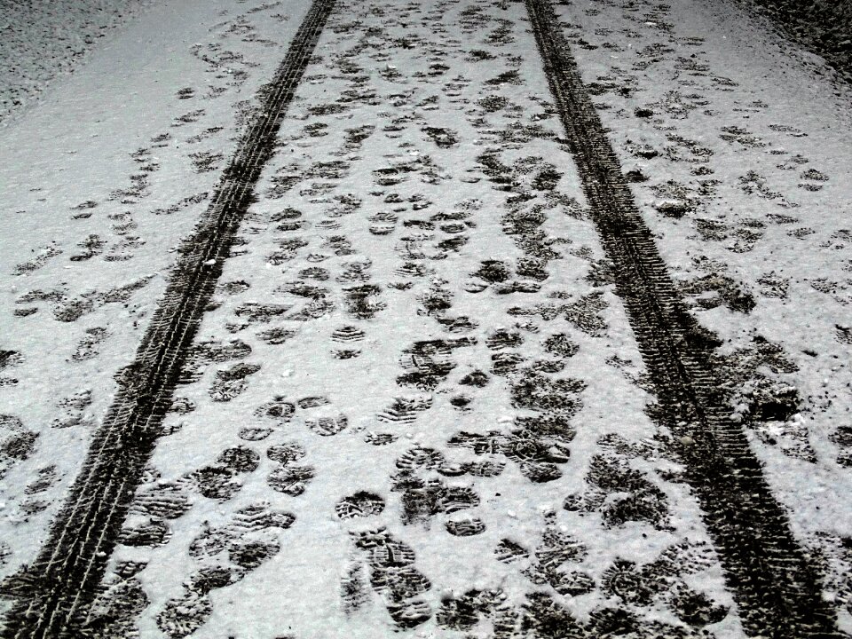 White winter mood winter way