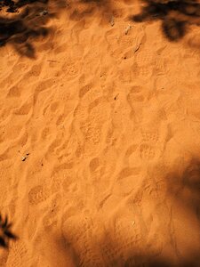 Footprints yellow orange photo