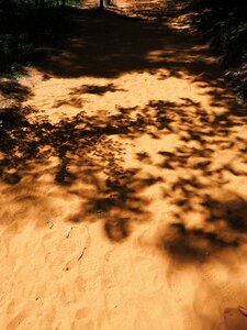 Footprints yellow orange photo