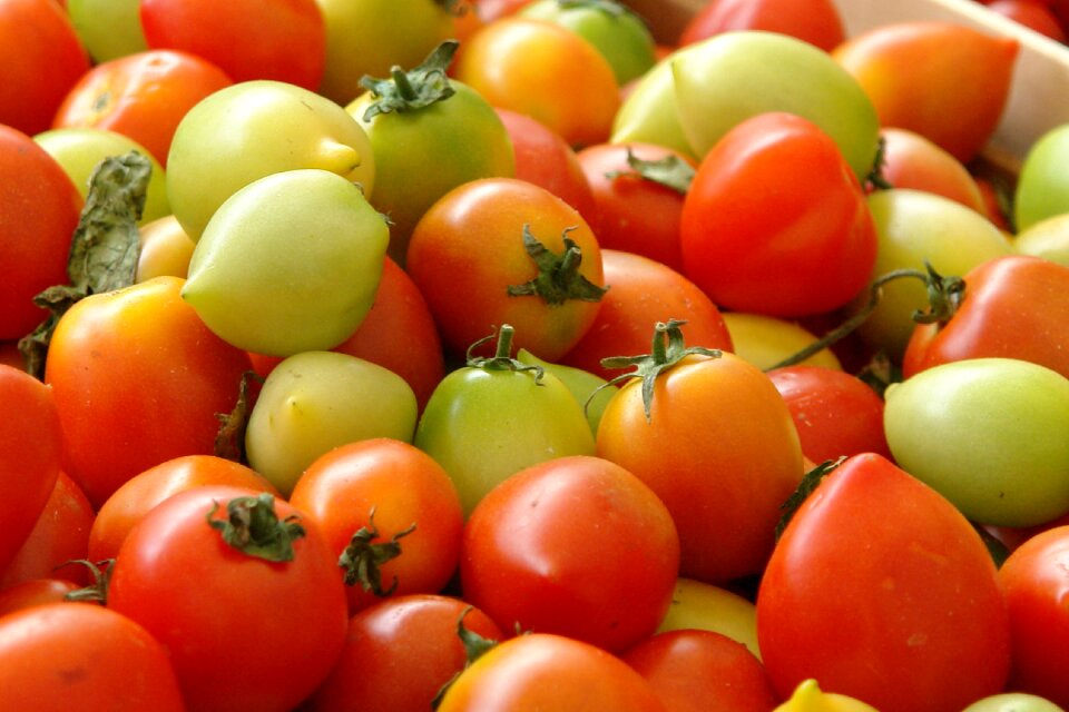 Garden delicious market