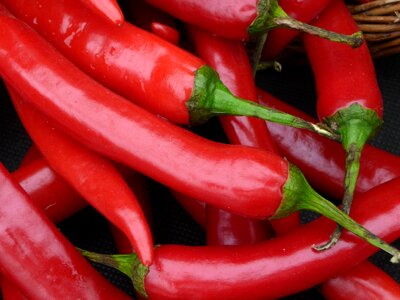 Green stalks vegetable chilly photo