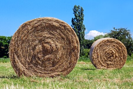 Round bales harvest time agriculture photo
