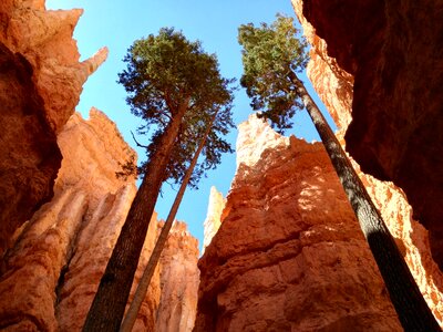 National park bryce canyon usa