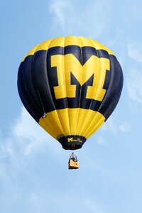 University of michigan blue yellow