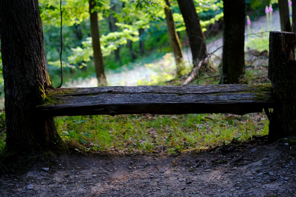 Resting place bench rest