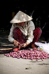 Market onions outdoors