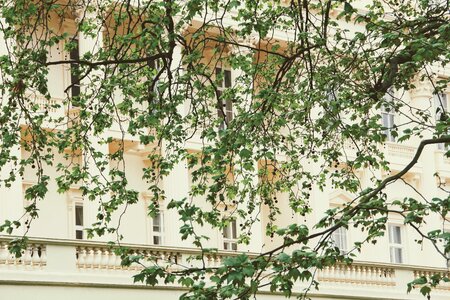 Building architecture house