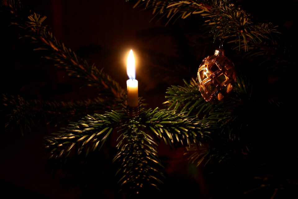 Christmas tree christmas decorations christmas lights