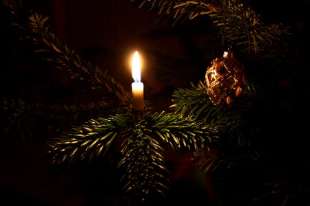 Christmas tree christmas decorations christmas lights