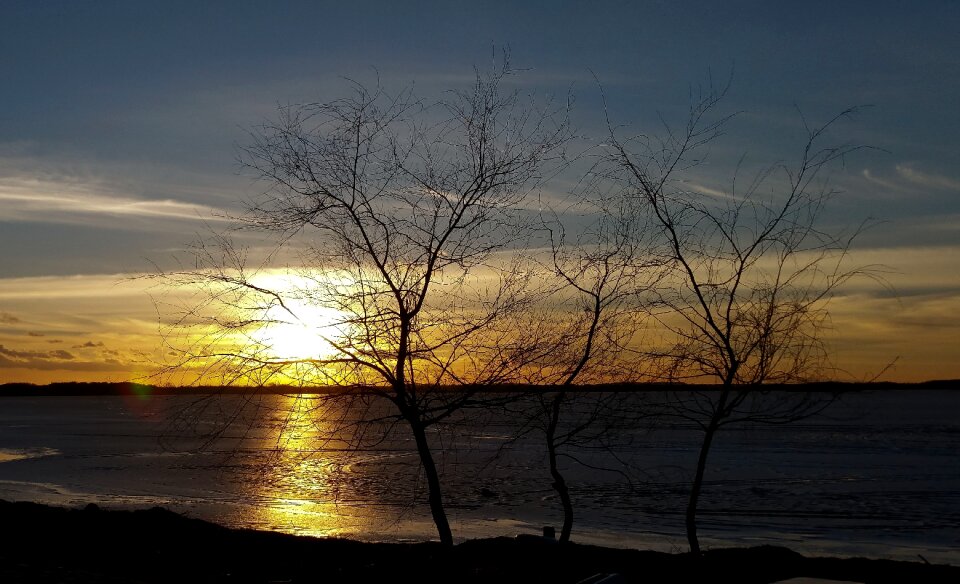 Landscape sunset tree
