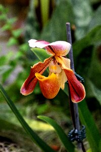 New jersey floral greenhouse