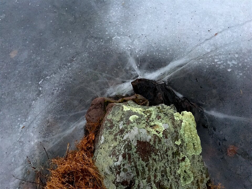Frozen winter nature