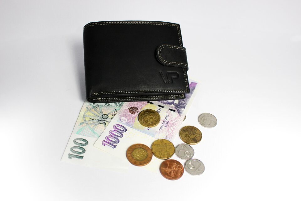 Leather wallet coins finance