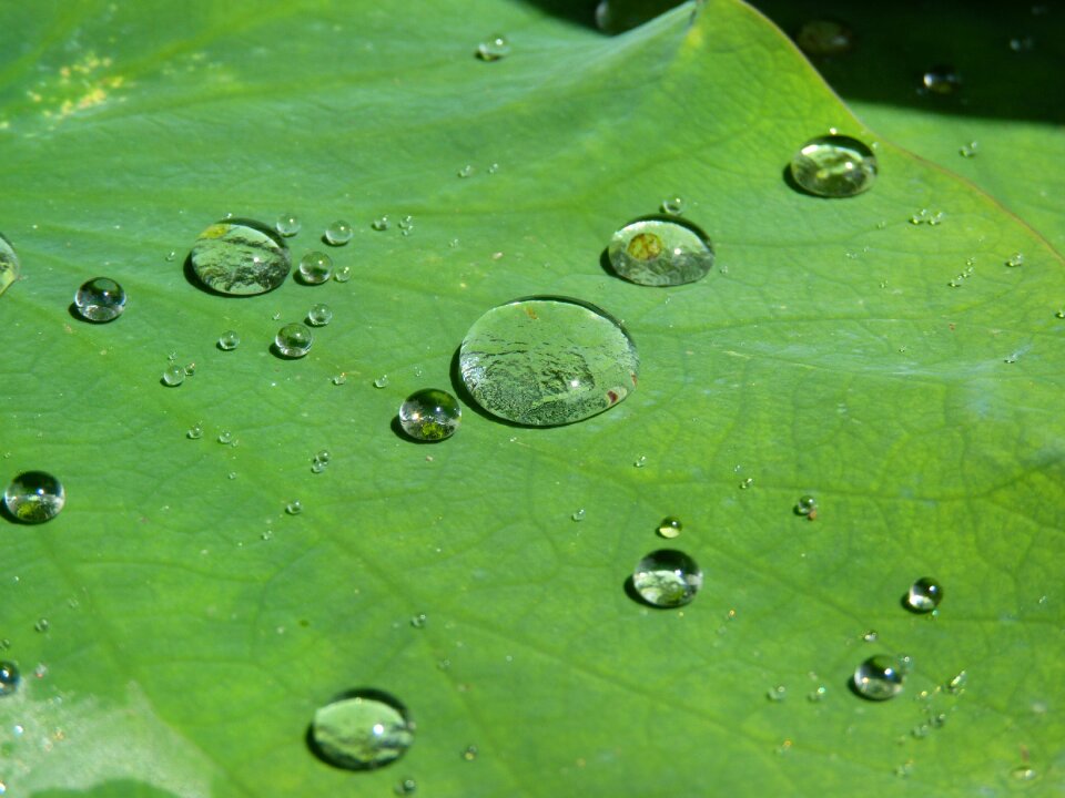 Structure raindrop transparent