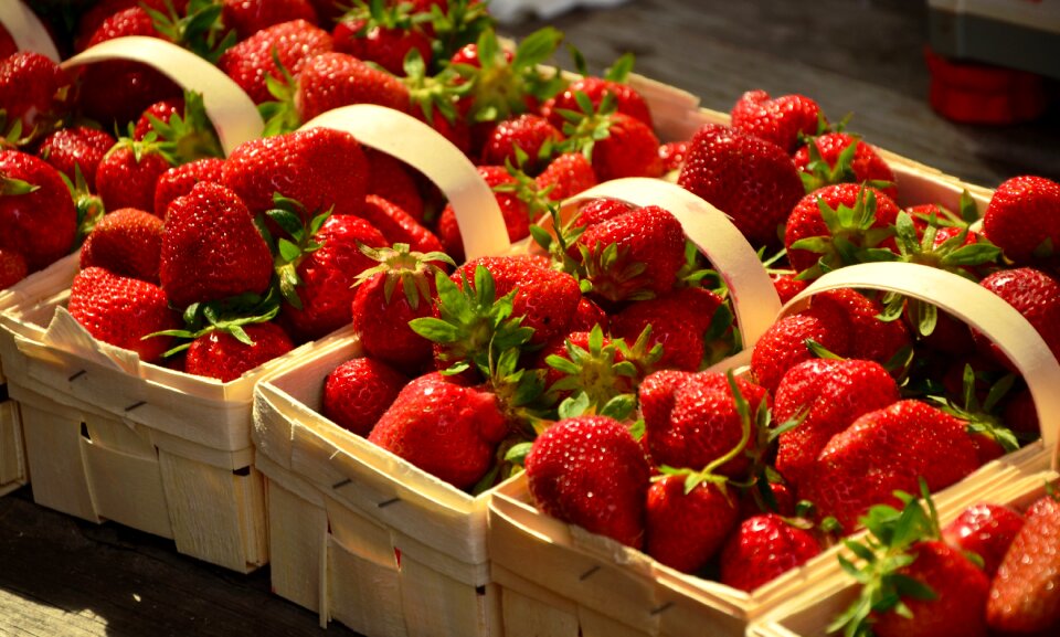 Delicious sweet summer