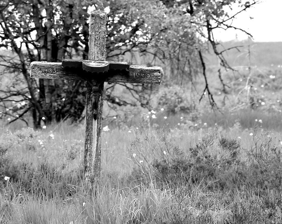 Moor cross nature reserve