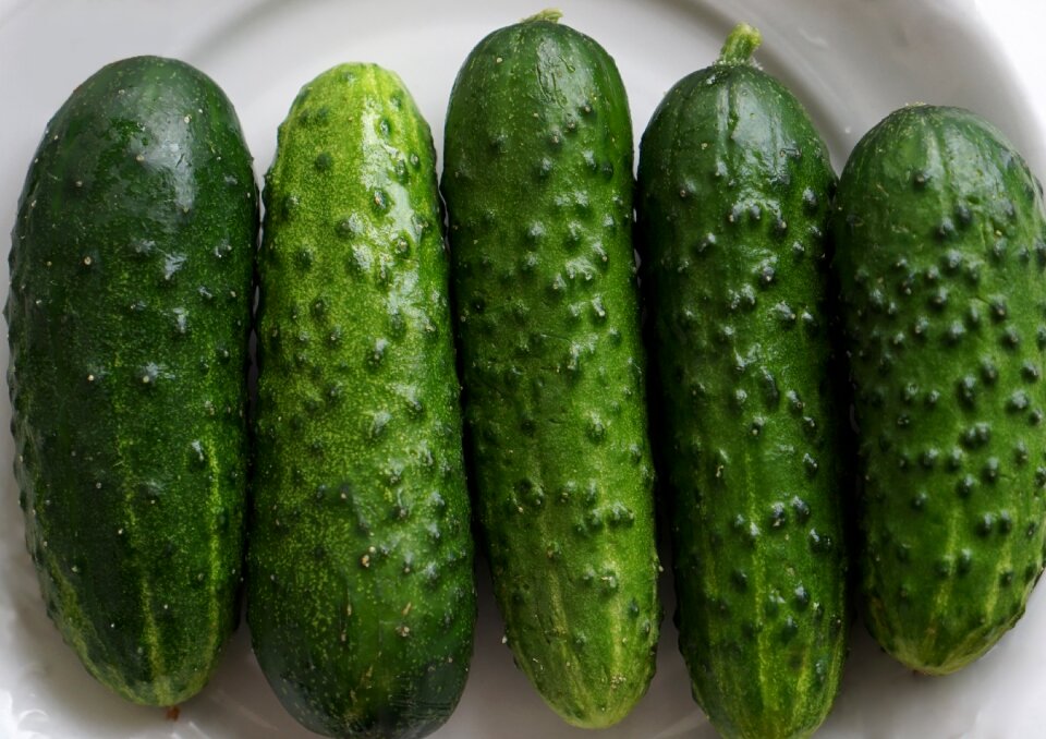 Green kitchen ensiling cucumbers