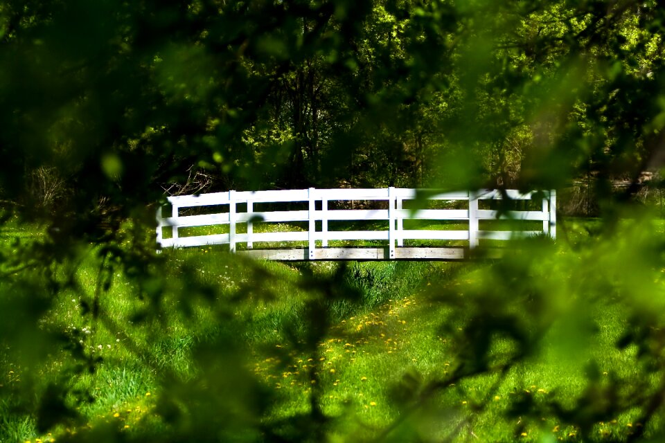 White wooden landscape