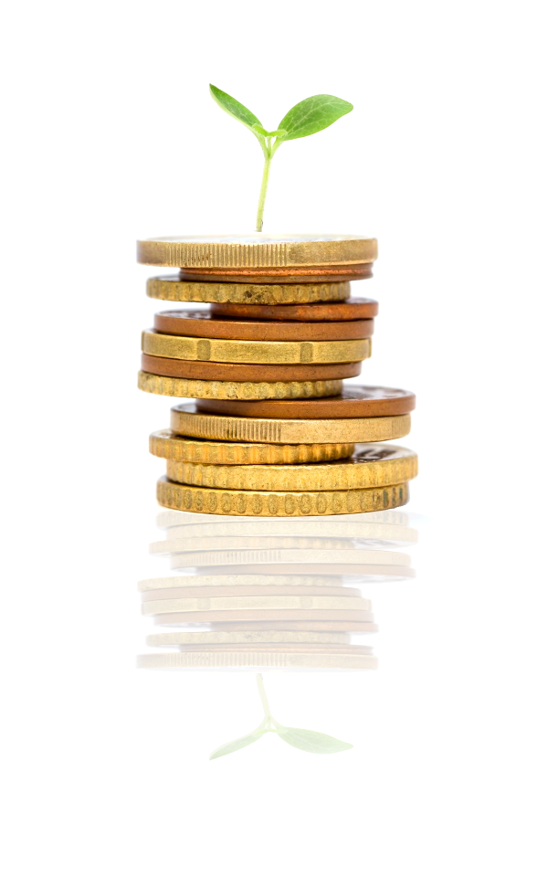Idea investment money