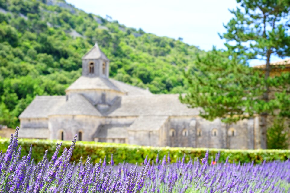 Notre dame de sénanque the order of cistercians gordes