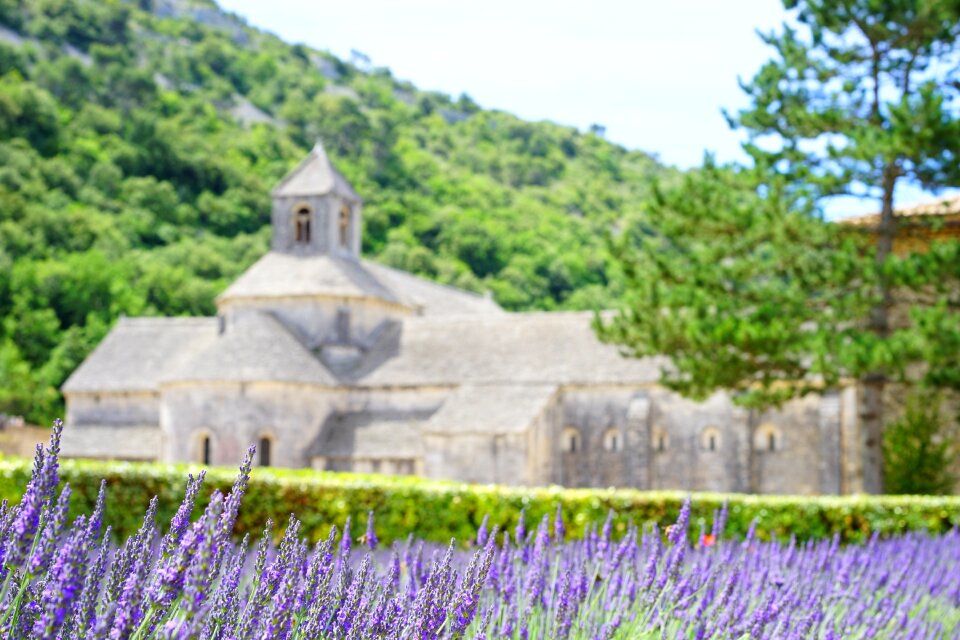 Notre dame de sénanque the order of cistercians gordes photo