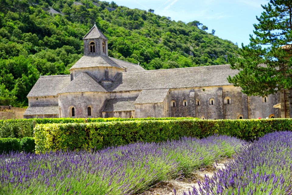 Notre dame de sénanque the order of cistercians gordes photo