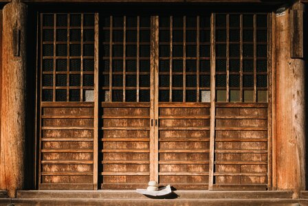 Building construction door