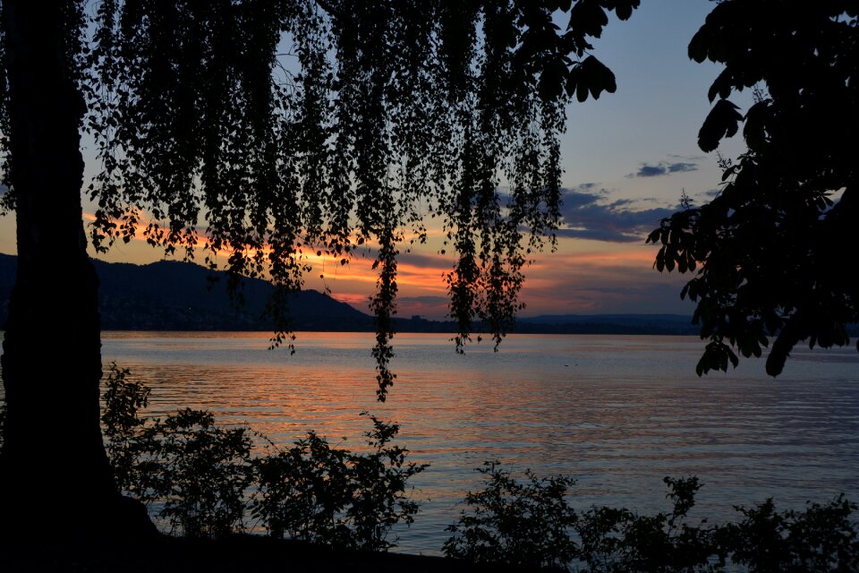 Lake zurich water abendstimmung