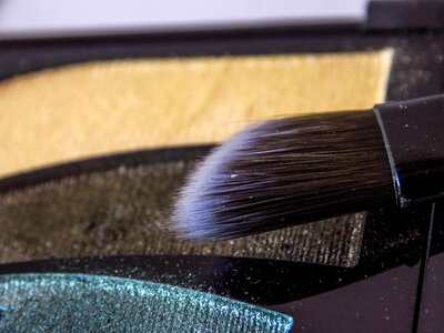 Brush makeup shadows