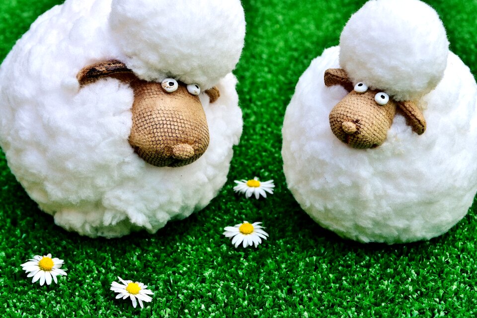 Meadow daisy deco