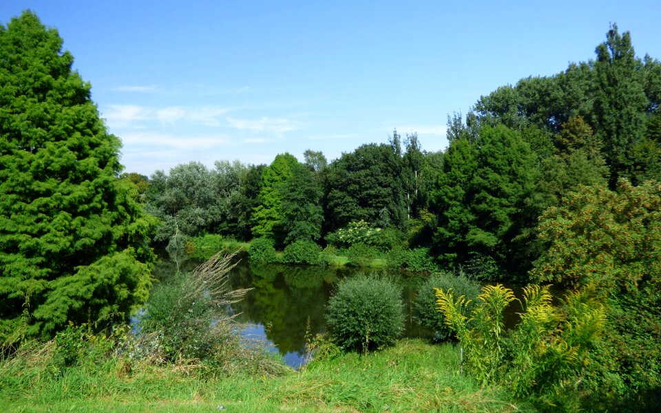 Water nature rest