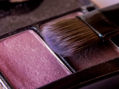 Brush makeup blush
