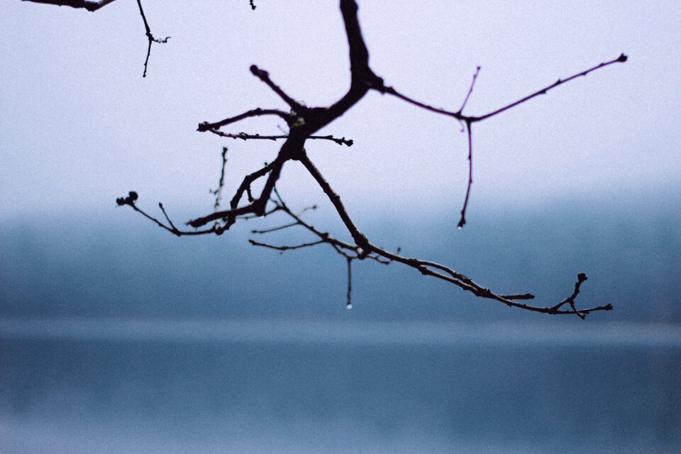 Nature fall winter