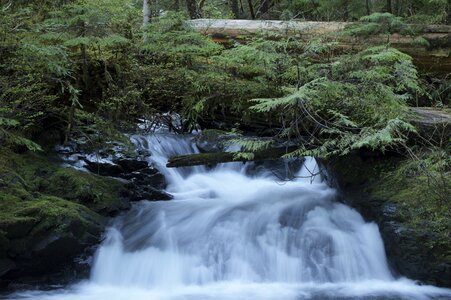 Water fall forrest photo