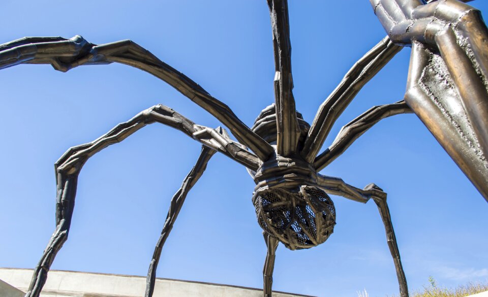 Spider statue insect