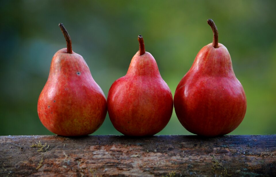 Pyrus communis food fresh
