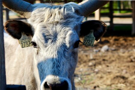 Farm nature bio
