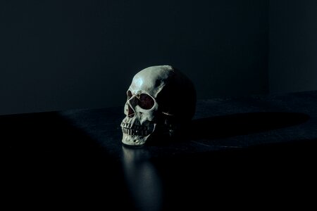Scary skull death photo