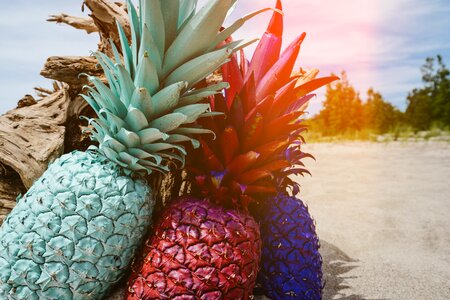 Colorful colourful food