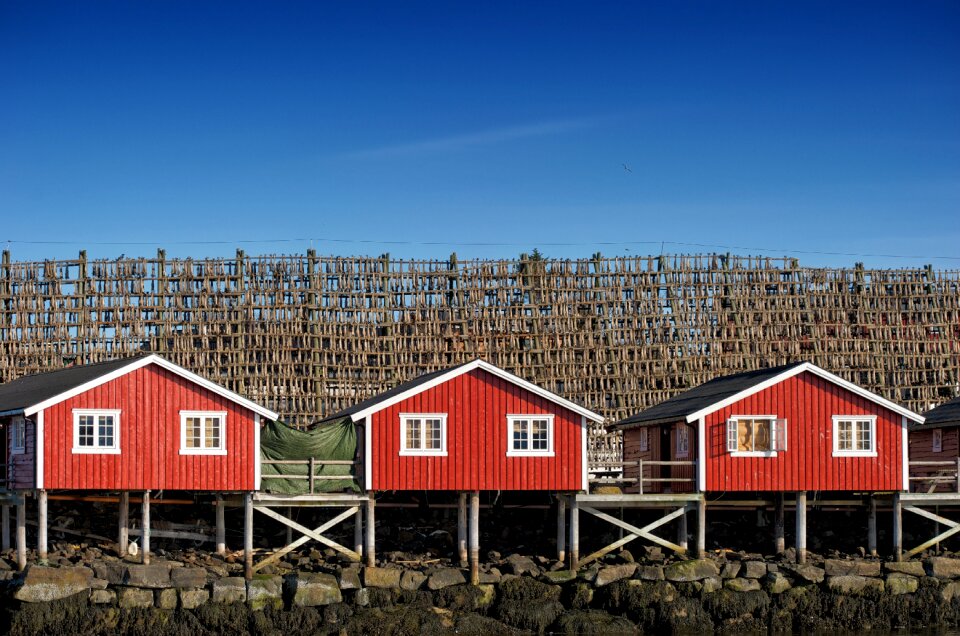 Hurtigruten scandinavia woodhouse