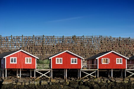 Hurtigruten scandinavia woodhouse