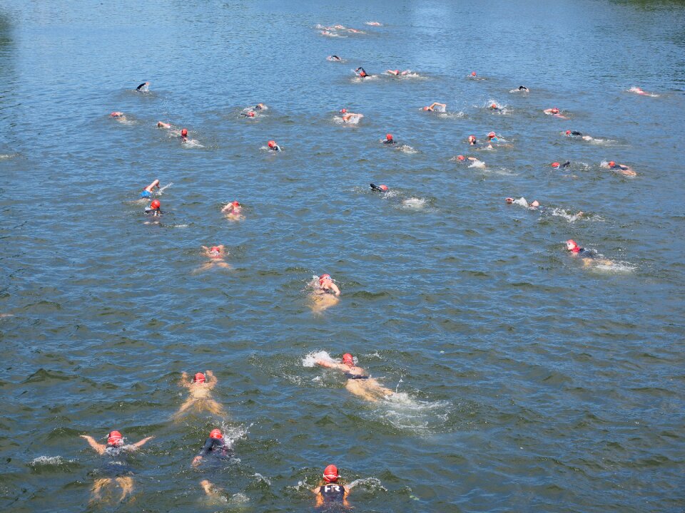 Water sports swimmer athletes