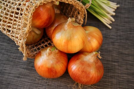 Onion wave hope