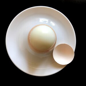 Brown shell animal food geköpftes egg photo