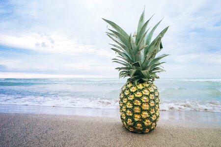 Ocean pineapple sand photo