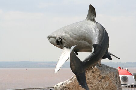 Fish animal statue